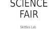 SCIENCE FAIR Skittles Lab. SKITTLES LAB Experiment on dissolving.