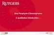 Zinc Porphyrin Chromophores A qualitative introduction…