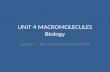 UNIT 4 MACROMOLECULES Biology Lesson 1: The Chemical Basis of Life.