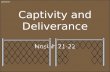Lesson 63 Captivity and Deliverance Mosiah 21-22.