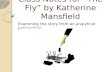 Class Notes for “The Fly” by Katherine Mansfield Examining the story from an analytical perspective.