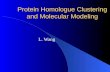 Protein Homologue Clustering and Molecular Modeling L. Wang.