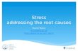 Stress addressing the root causes David Taylor dcmt@liv.ac.uk dcmt.