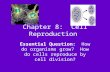 Chapter 8: Cell Reproduction Essential Question: How do organisms grow? How do cells reproduce by cell division?