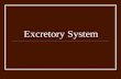 Excretory System. Functions The job of the excretory system is to rid the body of waste that result from metabolism. These are NOT the same wastes that.