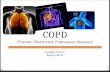 COPD (Chronic Obstructive Pulmonary Diseases) Fransiska Maria C. Bagian FKK-UJ.