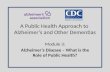 Module 3: Alzheimer’s Disease – What is the Role of Public Health? A Public Health Approach to Alzheimer’s and Other Dementias.
