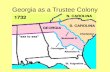 Georgia as a Trustee Colony. } CHARITY ECONOMICS DEFENSE REASONS FOR COLONIZING GEORGIA Why did King George II allow Georgia to become the 13 th colony?