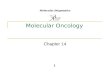 Molecular Oncology Chapter 14 1 Molecular Diagnostics.