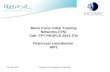Marie Curie Initial Training Networks (ITN) Call: FP7-PEOPLE-2011-ITN Fibercryst contribution WP2 19 Jan 2012Picosec KO meeting / D.Perrodin.