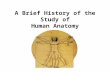 A Brief History of the Study of Human Anatomy. Early Egyptians Perfected the science of mummification. Major organs were removed and placed in jars. Body.