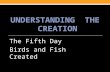 UNDERSTANDING THE CREATION The Fifth Day Birds and Fish Created.