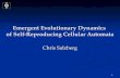 1 Emergent Evolutionary Dynamics of Self-Reproducing Cellular Automata Chris Salzberg.