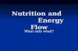 Nutrition and Energy Flow What eats what?. How organisms get energy Autotrophs make their own nutrients Autotrophs make their own nutrients Plants use.