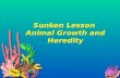 Sunken Lesson Animal Growth and Heredity How Organisms Grow Nearly all body cells produce exact copies of themselves. Producing identical cells allows.