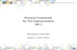 Financial Framework for TCS implementation WP 5 Domenico Giardini Rome, 5 Oct 2015