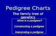 Pedigree Charts The family tree of genetics What is a pedigree? What is a pedigree? Constructing a pedigree Constructing a pedigree Interpreting a pedigree.