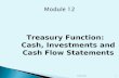 Treasury Function: Cash, Investments and Cash Flow Statements Convery 20131.