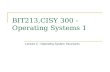 BIT213,CISY 300 - Operating Systems 1 Lecture 2 - Operating System Structures.
