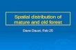 Spatial distribution of mature and old forest Dave Daust, Feb 25.