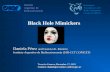 Black Hole Mimickers Daniela Pérez and Gustavo E. Romero Instituto Argentino de Radioastronomía (IAR-CCT CONICET) Texas in Geneva, December 17, 2015 Contact: