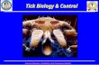 Prevent Disease, Disability and Premature Death. Relate the biology of ticks to appropriate control measures. Objective هدف.