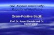 Gram-Positive Bacilli The Jordan University- Faculty of Medicine Gram-Positive Bacilli Prof. Dr. Asem Shehabi and Dr. Suzan Matar.