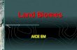 Land Biomes AICE EM. Introduction Biomes are the major regional groupings of plants and animals discernible at a global scale distribution patterns are.