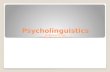 Psycholinguistics by Mariana De Luca mariana.deluca@cms.k12.nc.us.