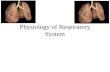 Physiology of Respiratory System. Respiration Pulmonary ventilation –Breathing- air movement in and out of body External respiration –Oxygen loading and.