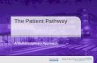 The Patient Pathway A Multidisciplinary Approach.