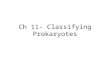 Ch 11- Classifying Prokaryotes. Shapes & Arrangements.