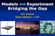Models Experiment Bridging the Gap Tim Stelzer Fabio Maltoni + CP 3.