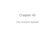 Chapter 40 The Immune System. *The ____________________ is the body’s main defense against _________________. - Pathogens = __________________________.