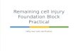 Fatty liver and calcification Remaining cell injury Foundation Block Practical.