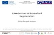 Introduction to Brownfield Regeneration Jirina Bergatt Jackson „This project has been funded with support from the European Commission. This publication.