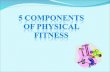 The Components of Physical Fitness are: Cardiovascular Endurance Muscular Strength Muscular Endurance Flexibility Body Composition.