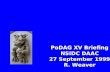 PoDAG XV Briefing NSIDC DAAC 27 September 1999 R. Weaver.