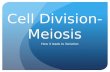 Cell Division- Meiosis How it leads to Variation.