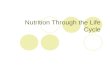 Nutrition Through the Life Cycle. General Nutritional Needs Good nutrition:  Resists disease  Helps decrease recuperation time  Supplies energy Exercise.