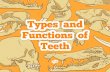 Success Criteria Aim I can identify the types and functions of teeth. I can identify the function of teeth in humans. I can match the types and functions.