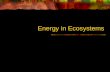 Energy in Ecosystems ALL LIVING THINGS USE ENERGY The earth is SOLAR POWERED! The source of all energy for ecosystems is the Sun.