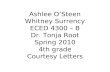 Ashlee O’Steen Whitney Surrency ECED 4300 – B Dr. Tonja Root Spring 2010 4th grade Courtesy Letters.
