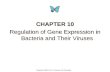 CHAPTER 10 Regulation of Gene Expression in Bacteria and Their Viruses CHAPTER 10 Regulation of Gene Expression in Bacteria and Their Viruses Copyright.