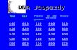 DNARNA Protein synthesis Not like the other History $10 $20 $30 $40 $50 DNA Jeopardy.