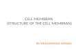 CELL MEMBRAN (STRUCTURE OF THE CELL MEMBRAN) BY MUHAMMAD ASWAN.