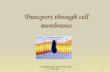 AS Biology, Cell membranes and Transport1 Transport through cell membranes.