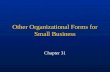 Other Organizational Forms for Small Business Chapter 31.
