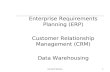 Gerhard Steinke1 Enterprise Requirements Planning (ERP) Customer Relationship Management (CRM) Data Warehousing.