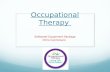 Occupational Therapy Software/ Equipment Package Chris Cannizzaro.